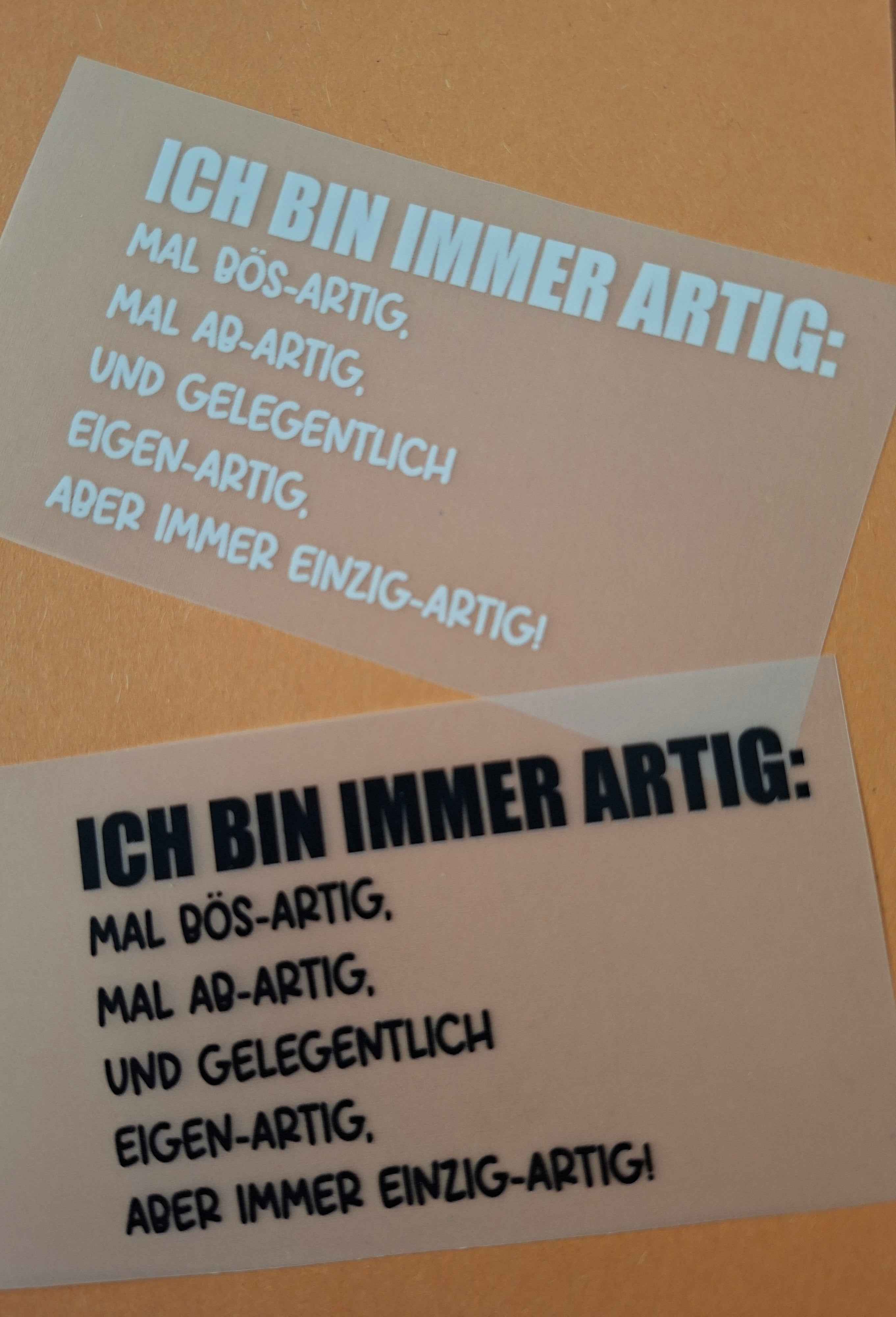 Personalisierte T-Shirts für jeden Anlass – Einzigartige Kleidung mit Bügelbildern und Sprüchen aller Art - Nicky's Kleiderstuebchen